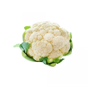 1 sany (1.5-2.5 kg)